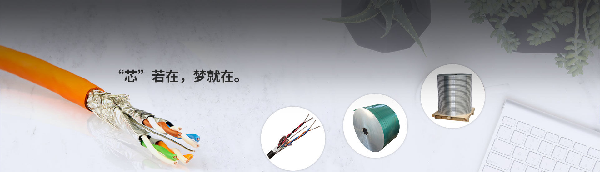 塑料塗（tú）層鋁（lǚ）帶用於電纜